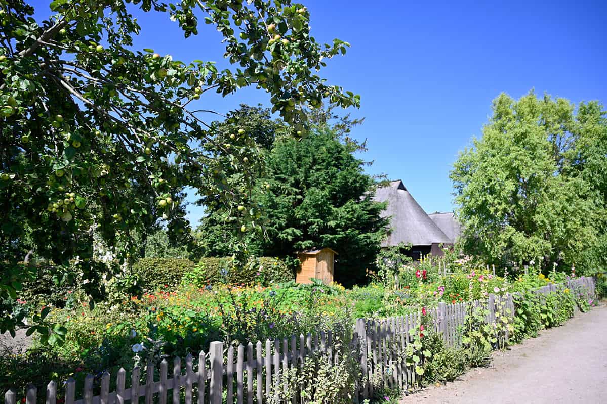 Barnstorf Bodden Wustrow Wandern Fahrrad Ferienwohnung