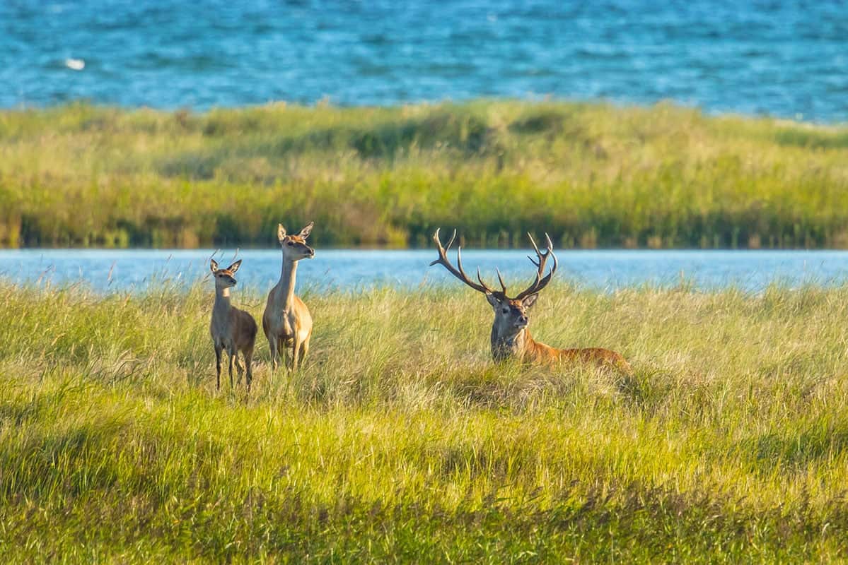 Wandern Fahrrad Naturschutzpark Weststrand_1