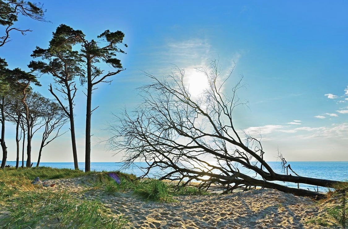 Weststrand Fischland Darss